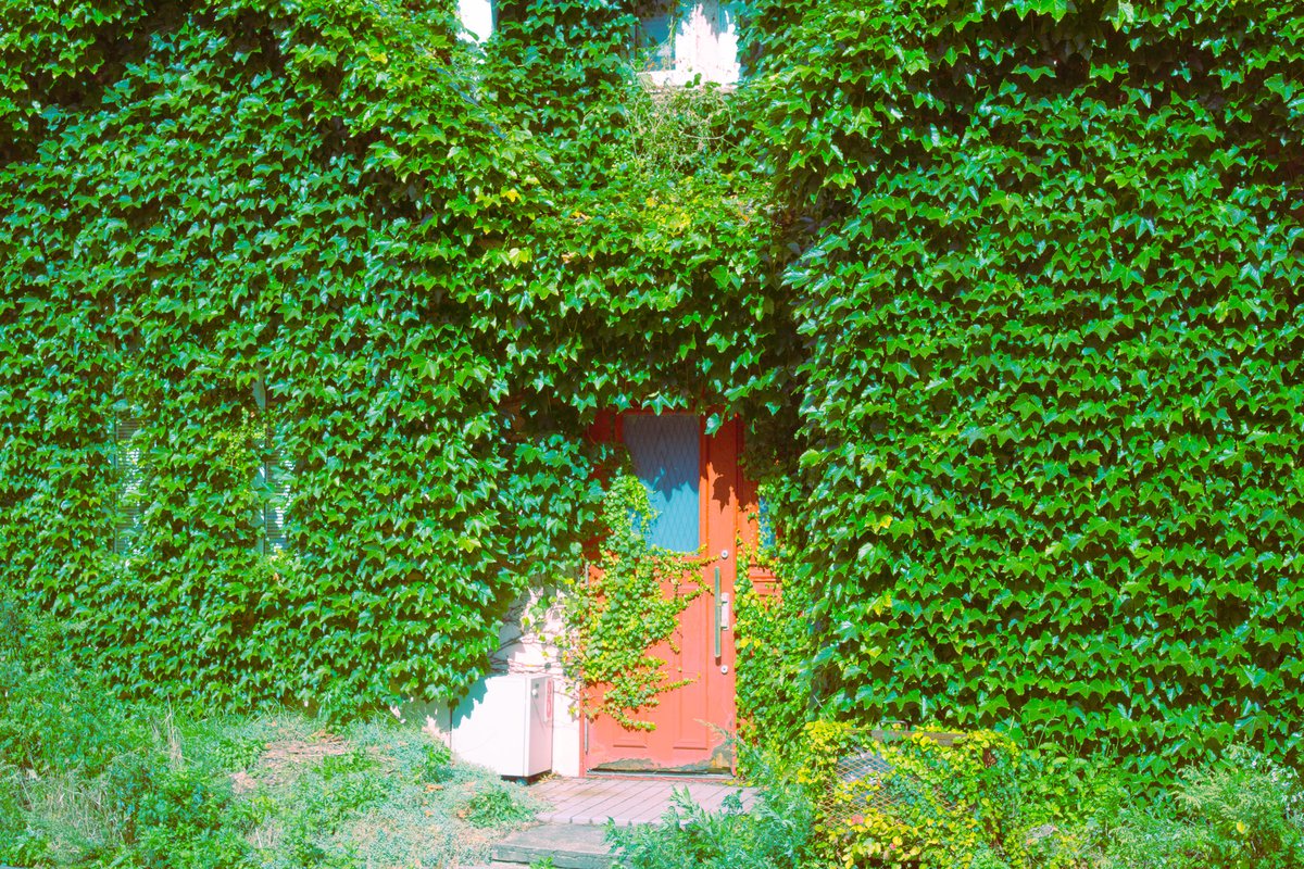 Japan trip-Hokkaido
#photography #hokkaido