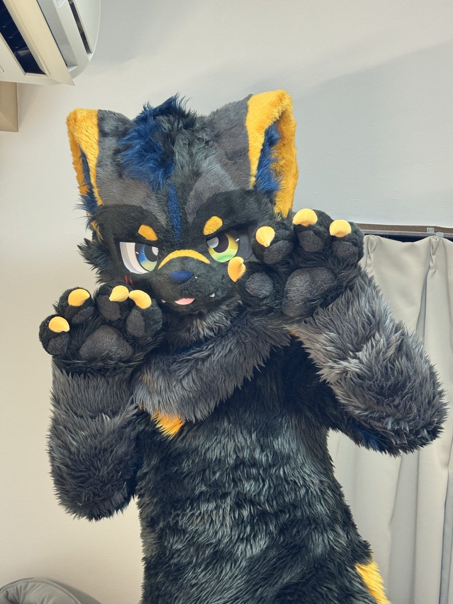 おはようございます☀
今日も元気です！

#ケモノをみて今週もがんばりマンデー