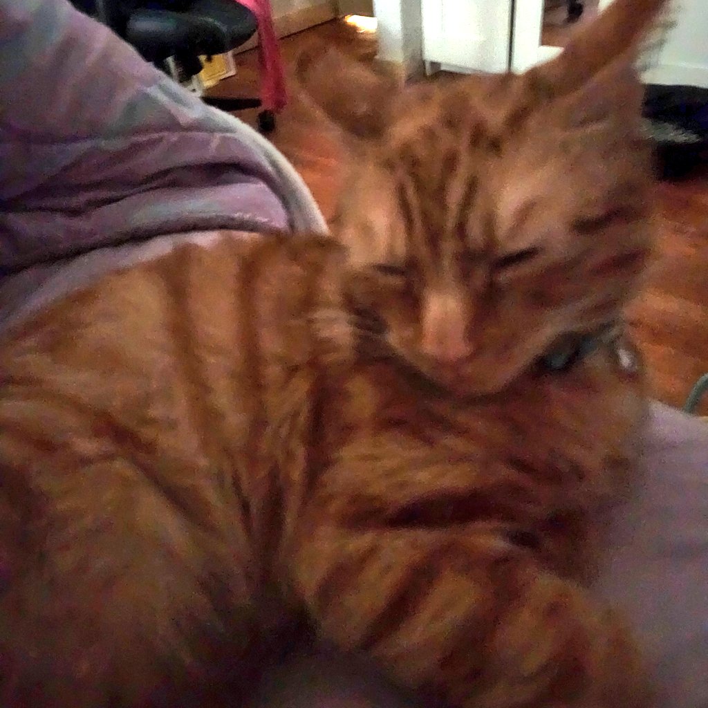 Why he sleep so cunty ? 😾💅