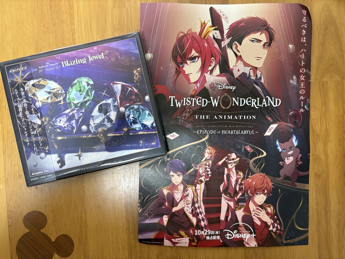 ツイステライブ行ってきました！
彼ら実在してた。いつも画面越しで見てた彼らが目の前にいた…
最高としか言えない
パフォーマンスはカッコよかったり美しかったりで、でもMCでは笑いしぬかと思ったし、温度差ー！だった
チケ取れなくて1回きりの参加だったけどとても楽しい思い出になった！！