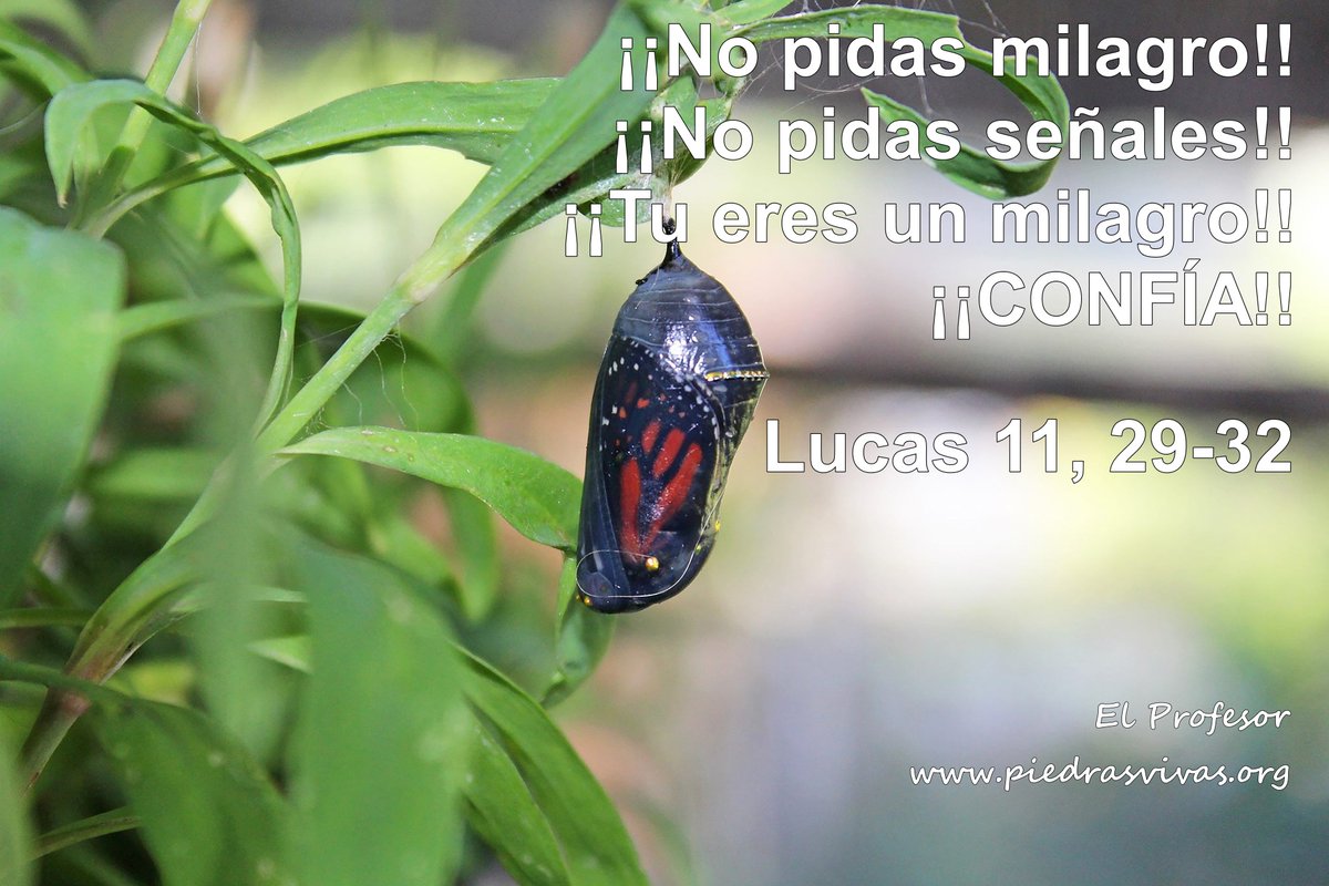 cybmaster's tweet image. 