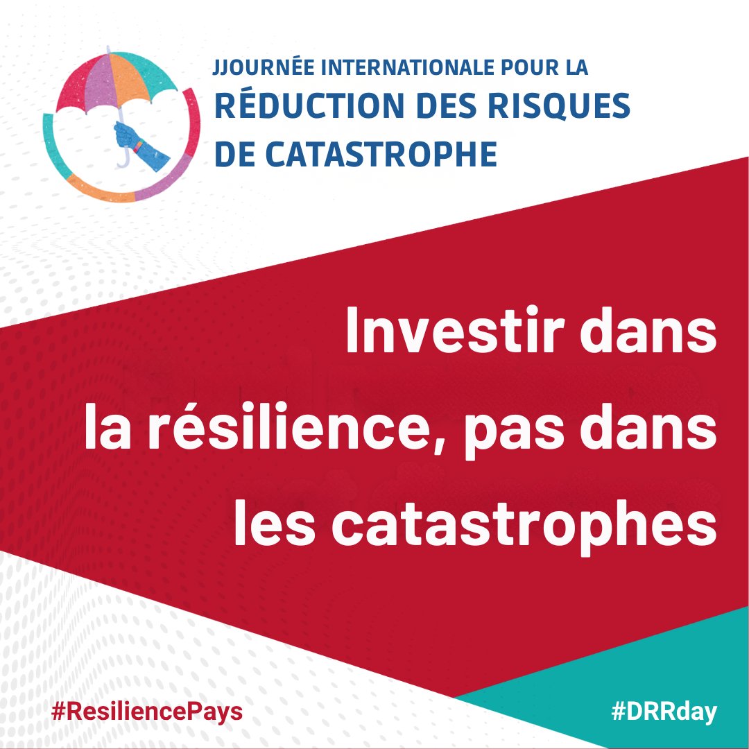 Les catastrophes se multiplient, de plus en plus coûteuses &amp; dévastatrices.

Pourtant, les fonds alloués à la réduction des risques de catastrophe sont bien trop faibles.

La Journée #DRRday met l'accent sur la nécessité d’investir plus dans la prévention. un.org/fr/observances…
