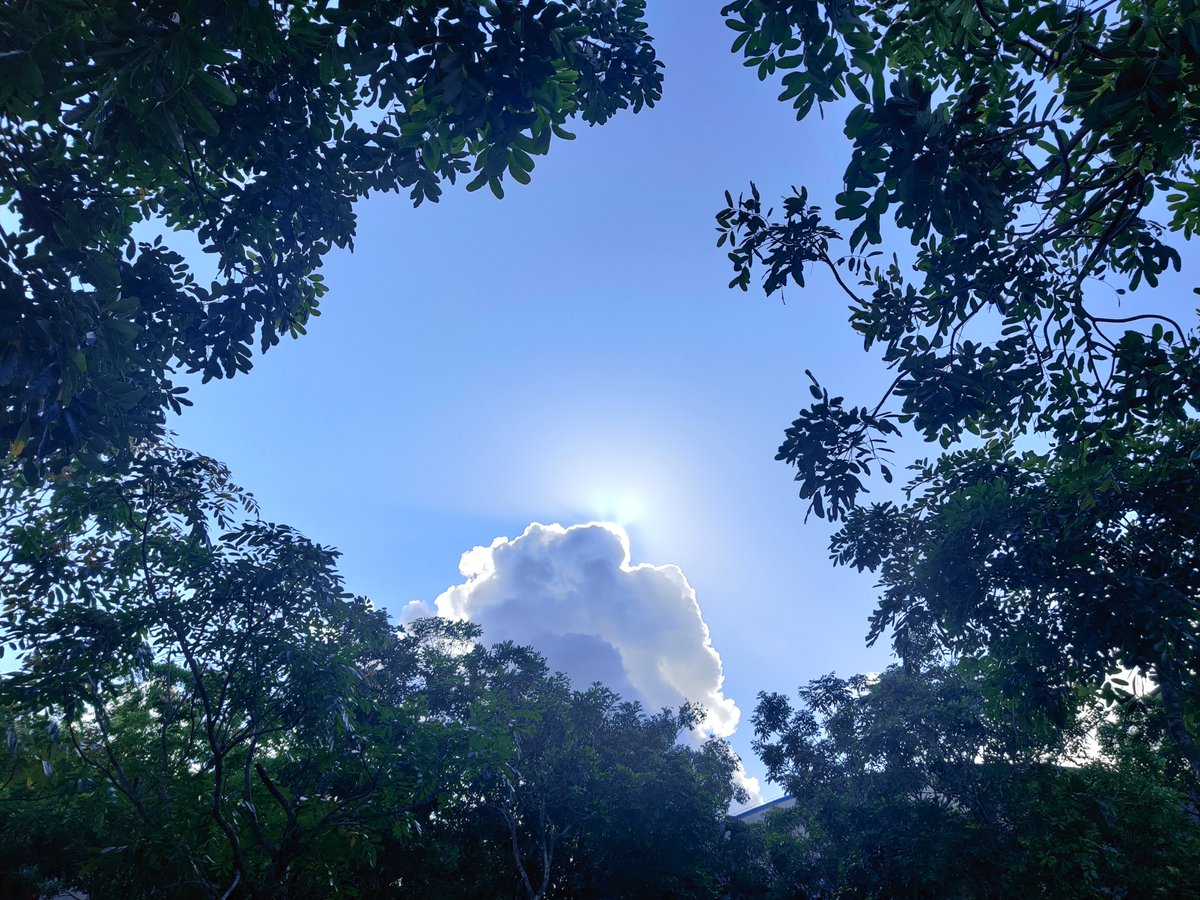 siwen2501's tweet photo. https://t.co/Ojy2qb92Wp