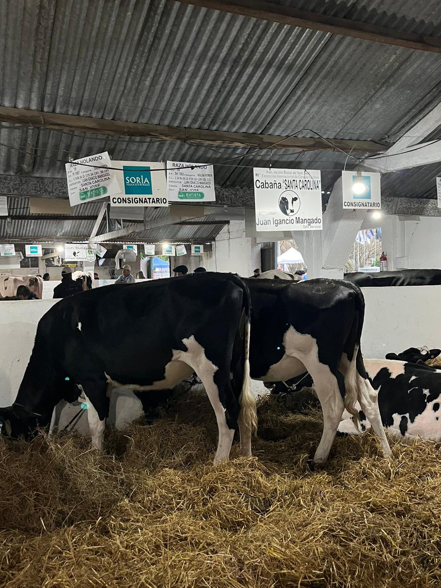 Junto a @marce_pianzzola recorrimos la Edición 81 de la Expo de la @asociacionruralsanjose en sus 125 años. 
El Presidente puso énfasis en los siguientes puntos 
# Cuidar zonas de producción 
# Atraso cambiario 
# Oposición a bajo presupuesto de Inale 
# Cambios negativos en INAC
