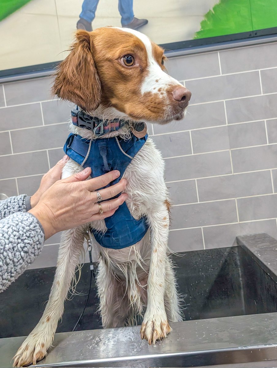 Brent & Fred's Excellent Adventure tweet media