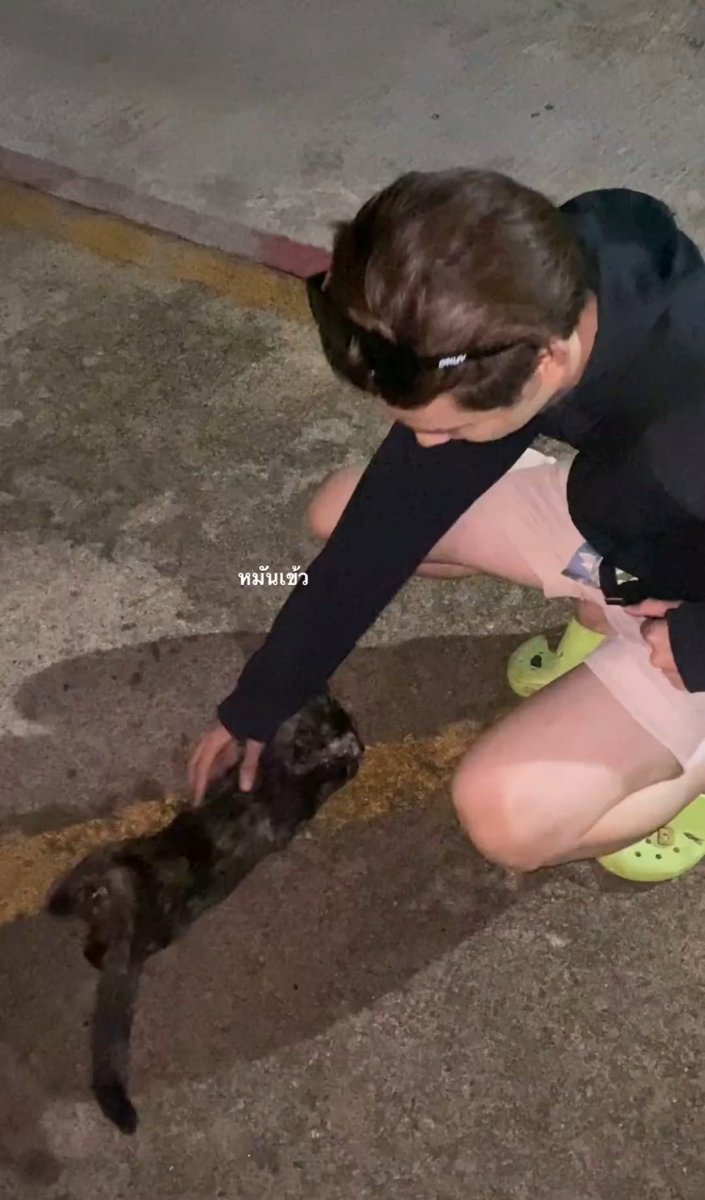 เริ่มไม่แน่ใจว่าพี่แกอวดแมวหรืออวดแฟน #ปองชู