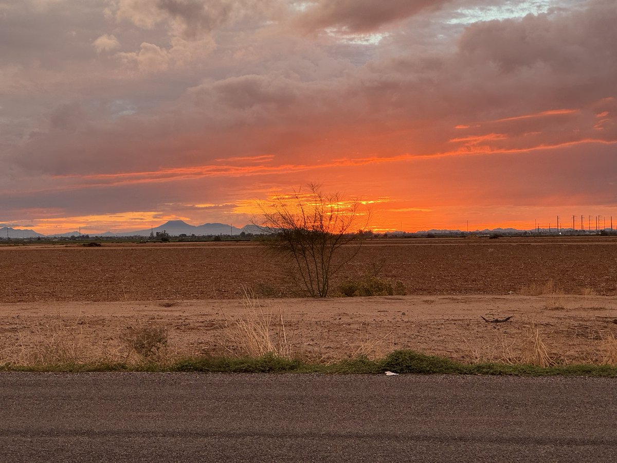 MEdwardsWrites's tweet photo. The rain, left from a hurricane that fell apart like a relationship that went cold, left these clouds and a little mud puddle. #mudpuddles #azsunset #sunsets https://t.co/KMTEKylcEf