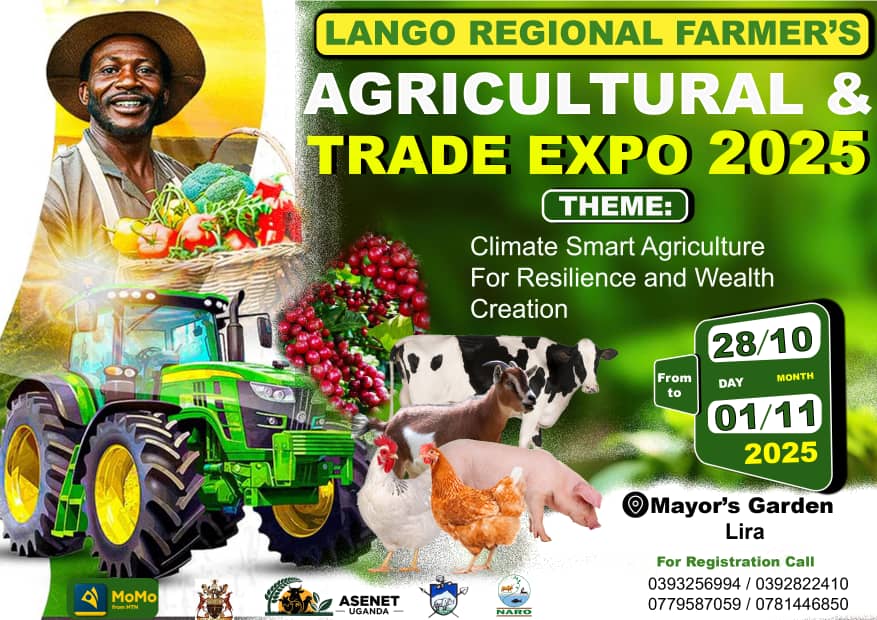 Grace Musimami Kezrone tweet media