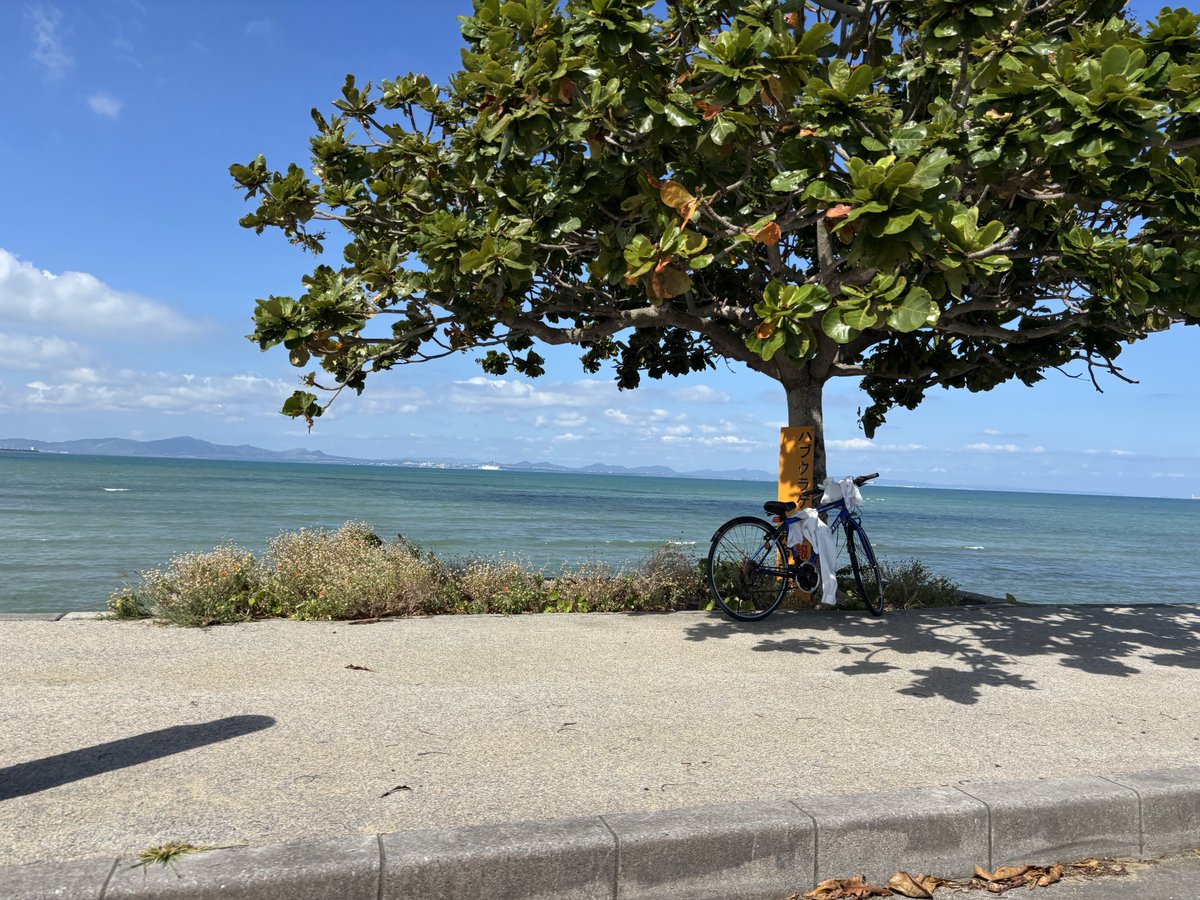 W1R5N5TGKSzBAWr's tweet image. はい帰ります🏝️🙋‍♂️✨

ありがとう沖縄🌴
ありがとう沖縄ブースター‼️👬👭👫✨
ありがとう沖縄サントリーアリーナ🏟️
頑張ってね58ARENA🍺🍾🍶🍷🍹

#58ARENA
#RyukyuKings 
#アラハコート
#ありがとう琉球ブースター😢🤚