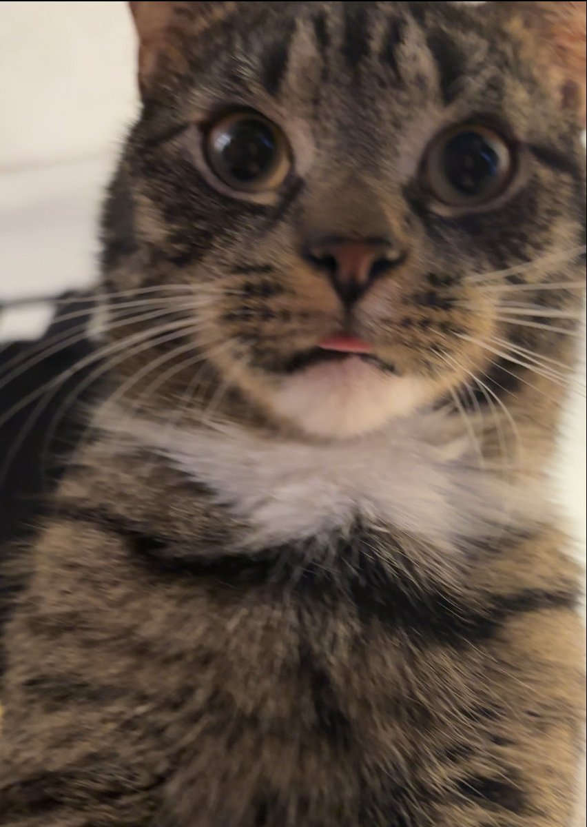 I don’t think he can produce more than a thought a day