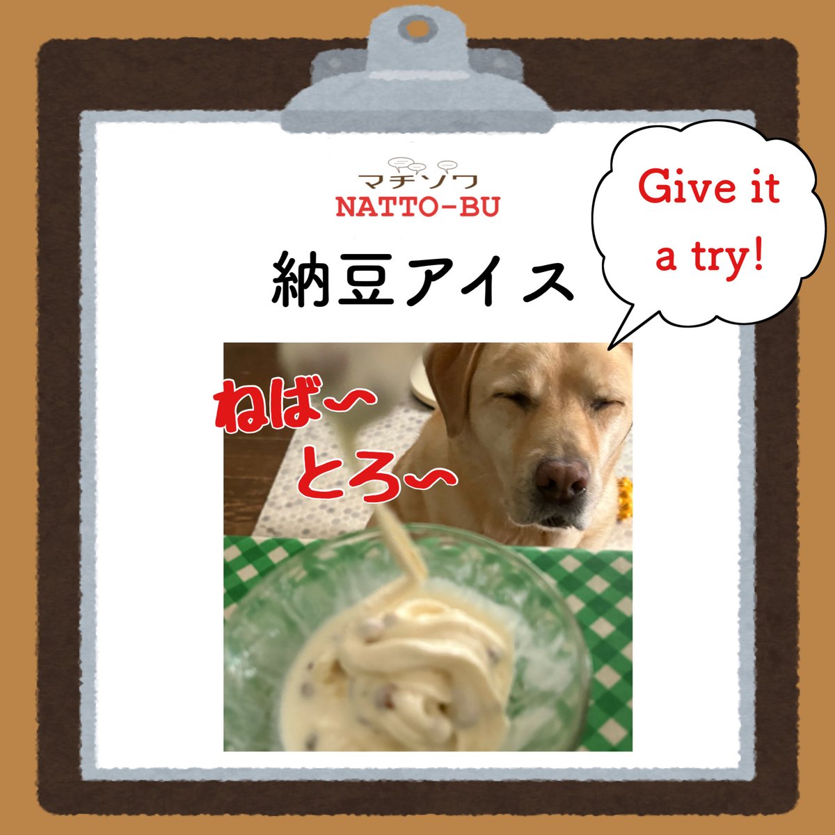 諸国漫遊Cafe SUNBEAR tweet media