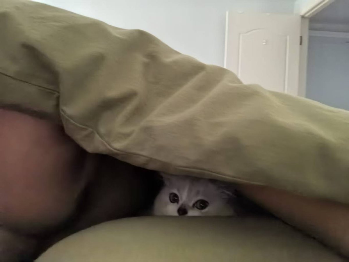 ttiiddaa315733's tweet image. 