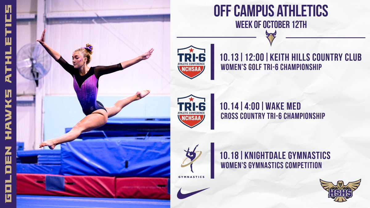 HSHS Athletics tweet media