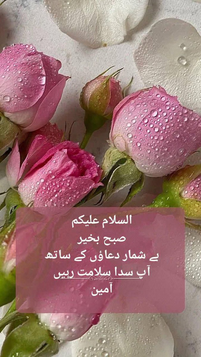 السلام علیکم ! اے زمین و آسمان کے مالک تمام احباب کے لئے خیر و سلامتی اور خوشحالی کی دعاہے قبول و منظور فرما آمین،
صبح بخیر