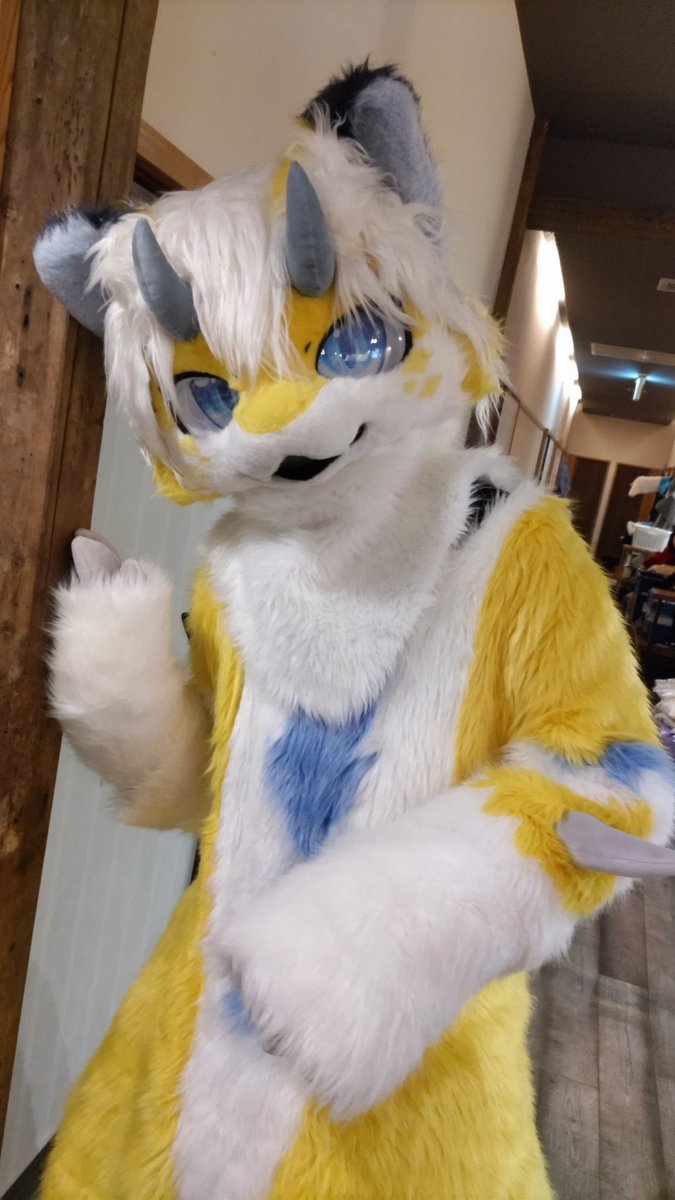 ReshiramWife's tweet image. #CoEDOオフ