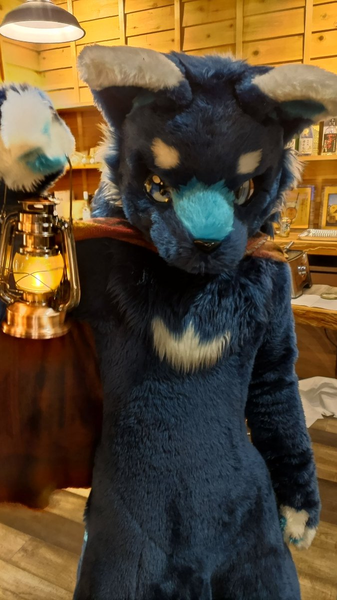 ReshiramWife's tweet image. #CoEDOオフ