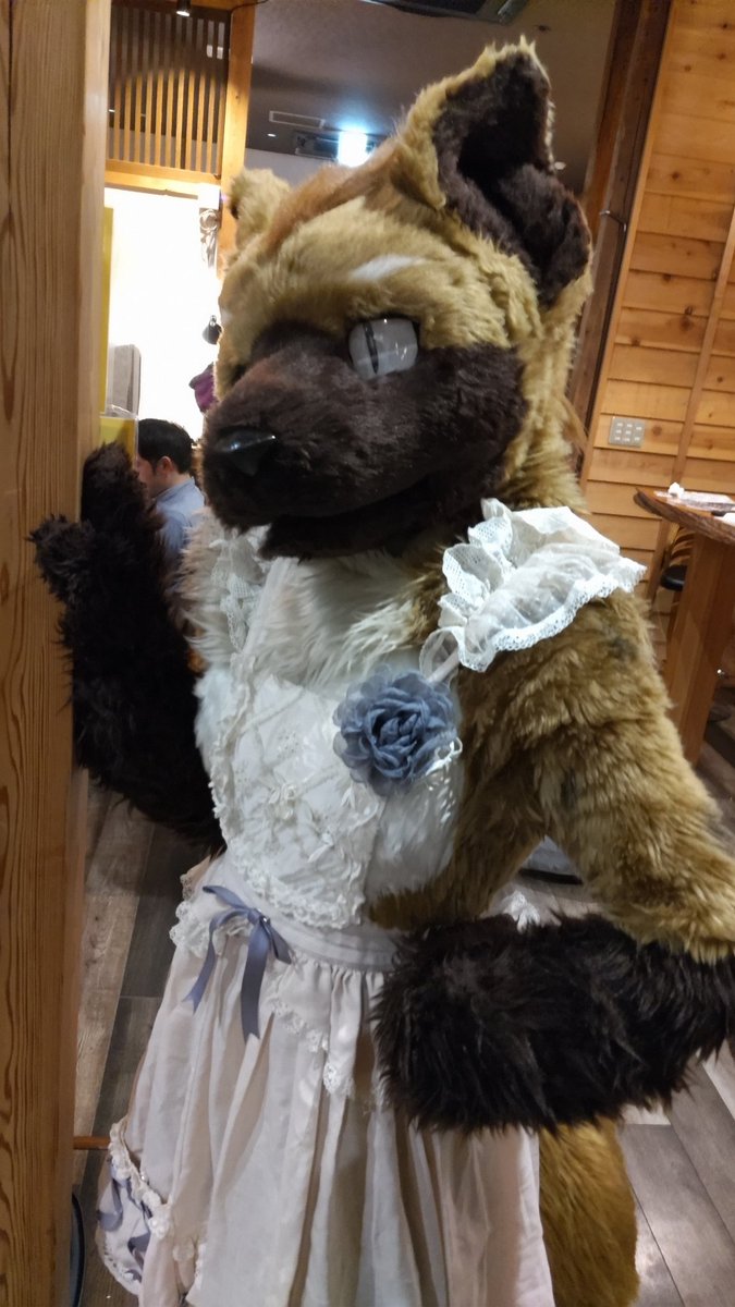 ReshiramWife's tweet image. #CoEDOオフ