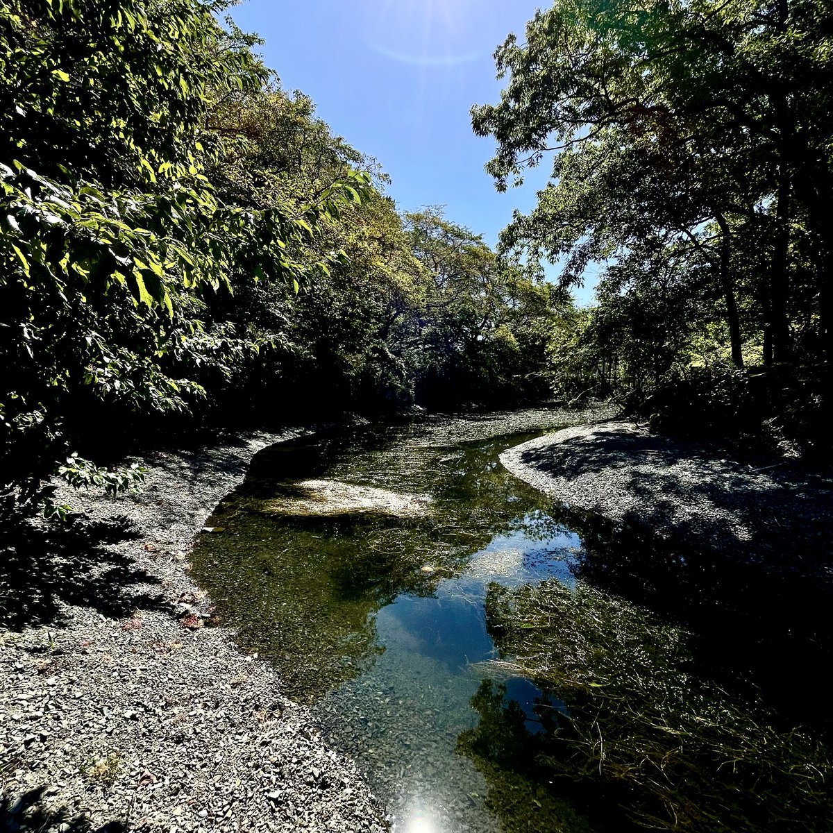 秋の琵琶湖に撮影に行ったが、まだ夏日だった。