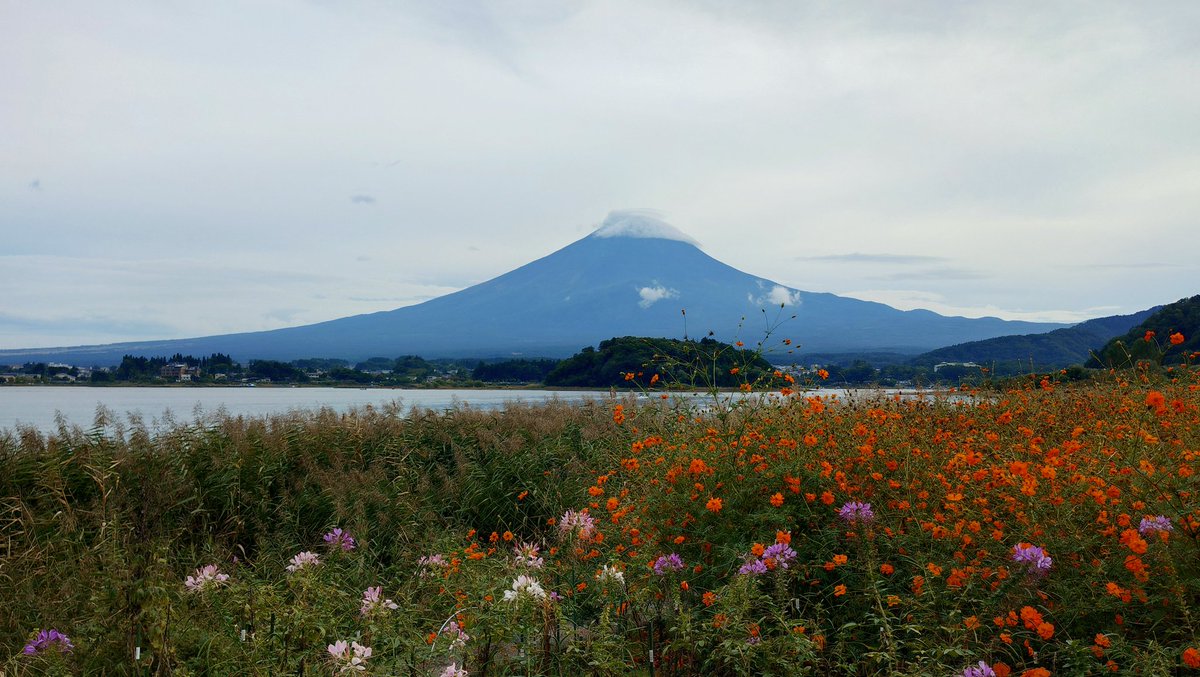 mifapoo's tweet image. xperia 10VIIですどうかな