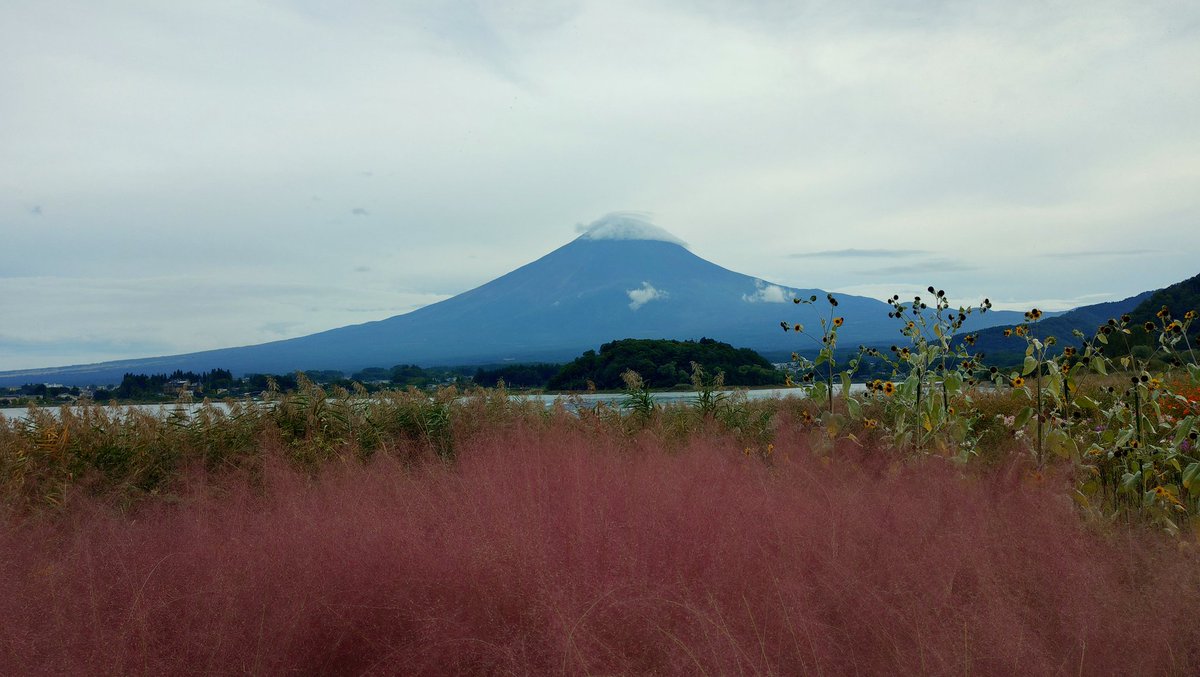 mifapoo's tweet image. xperia 10VIIですどうかな