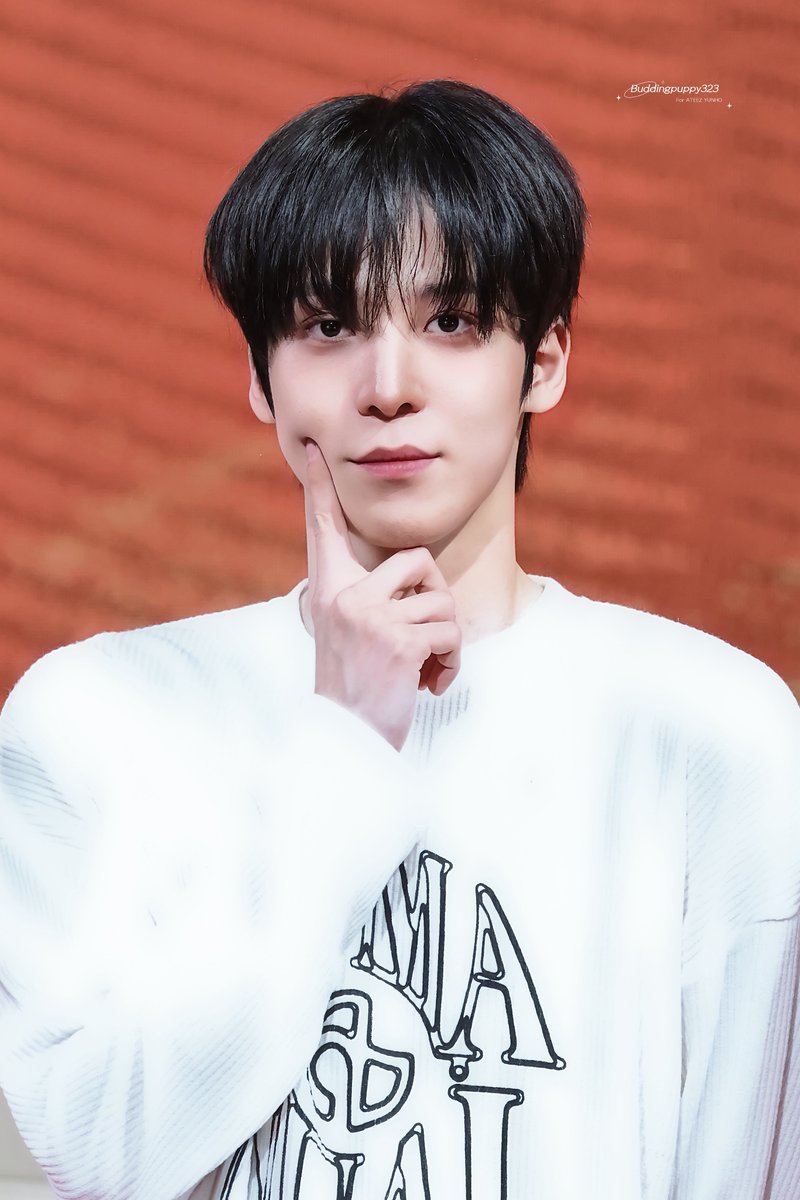 싹트기 tweet media