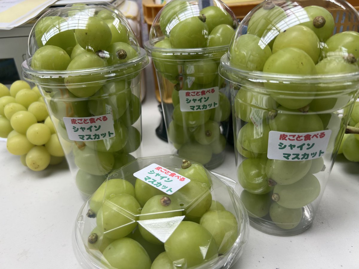 fu_kuu's tweet photo. 2025シーズン古内果樹園直売所営業最終日を迎えました。
本日もお得なパックから贈答用詰め合わせまでご用意してございます！シャインマスカット・富士の輝き・オリエンタルスター等々一房からご購入いただけます。
今日一日よろしくお願いします
#古内果樹園 #ぶどう #直売所 https://t.co/dwWDpdJKoH