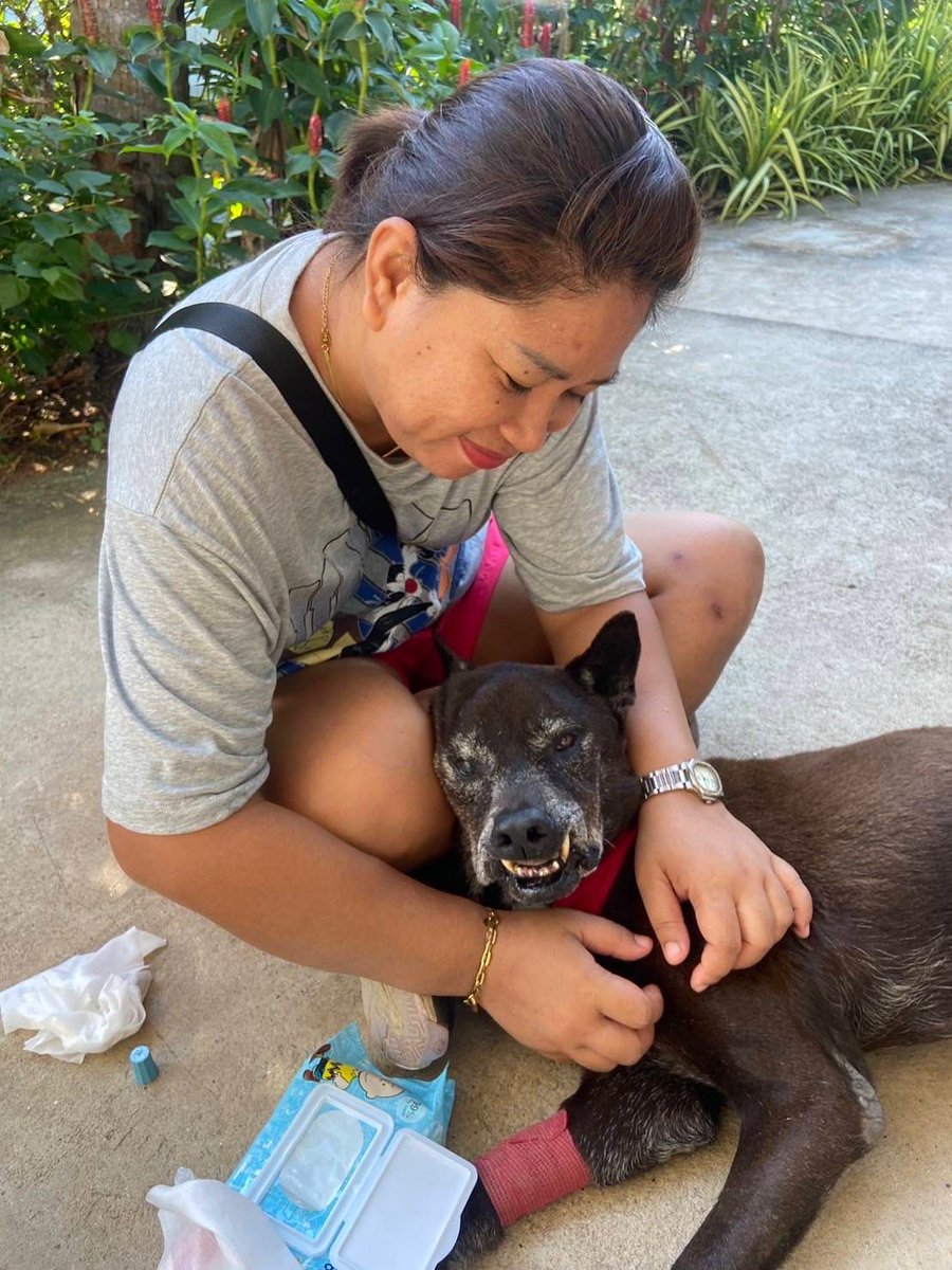 Niall Harbison tweet media