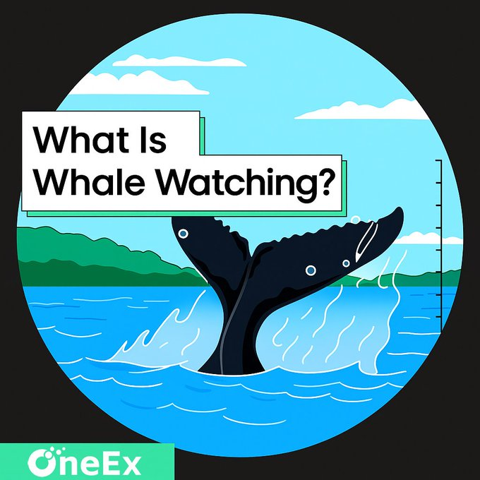 OneEx.vip Special $DOGE Treat！

💰$200 #DOGE 
🏆50 Winners

Rules：
1️⃣Follow <a href="/oneexvip/">OneEx</a> &amp; RT &amp; 💙
2️⃣Join t.me/OneExGlobal and say hi!
3️⃣Drop your OneEx UID below and screenshots to prove it!

⏰Oct. 13 – Oct. 16
🧐Don’t miss out！

#Giveaway #Airdrops