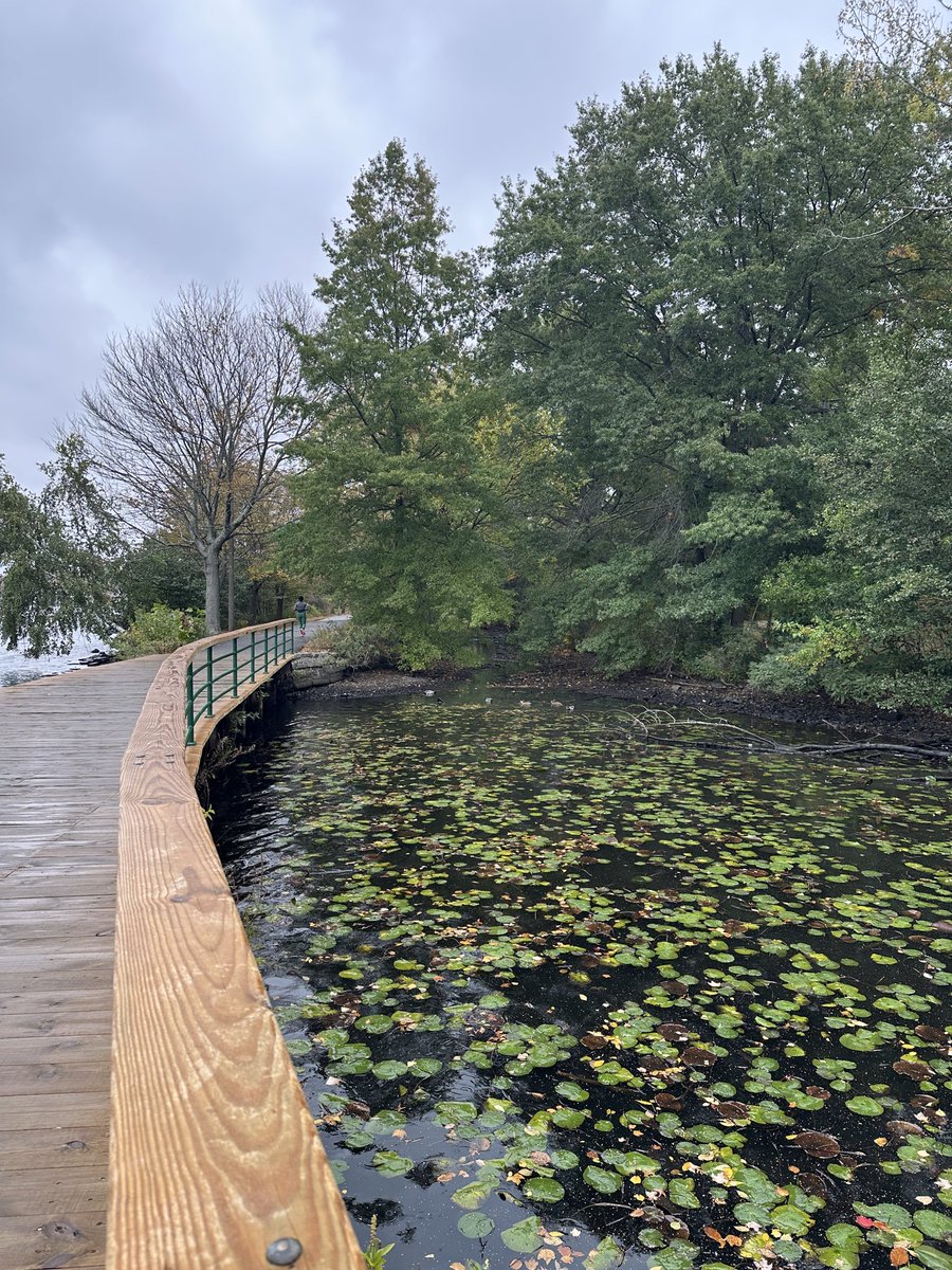 ShaneZ00's tweet photo. Wonderful fall New England walk https://t.co/Za3GlIwLpG