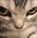 Kydare tweet media
