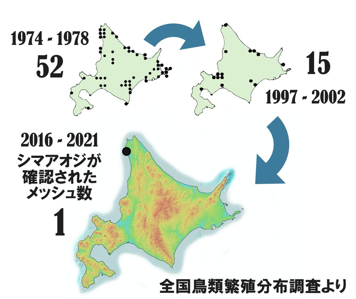 全国鳥類繁殖分布調査で40年前に52メッシュで記録されていたシマアオジ。今はたったの1メッシュ、それも消滅したとの調査結果があります。かつての景色を取り戻すために越冬地を守る。お力添えお願いします。
バードリサーチ＆日本野鳥の会　シマアオジクラウドファンディング readyfor.jp/projects/aureo…