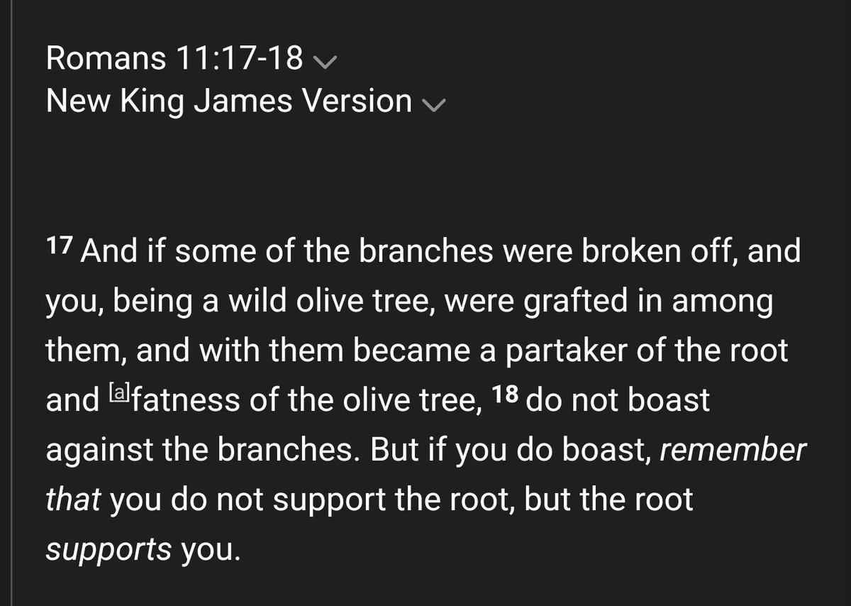 Since the Church is grafted into the promises given to Israel, I can't imagine The Lord is going too thrilled with professing Christians demonizing Israel and the Jews every chance they get. Especially since we're warned against doing that very thing!
