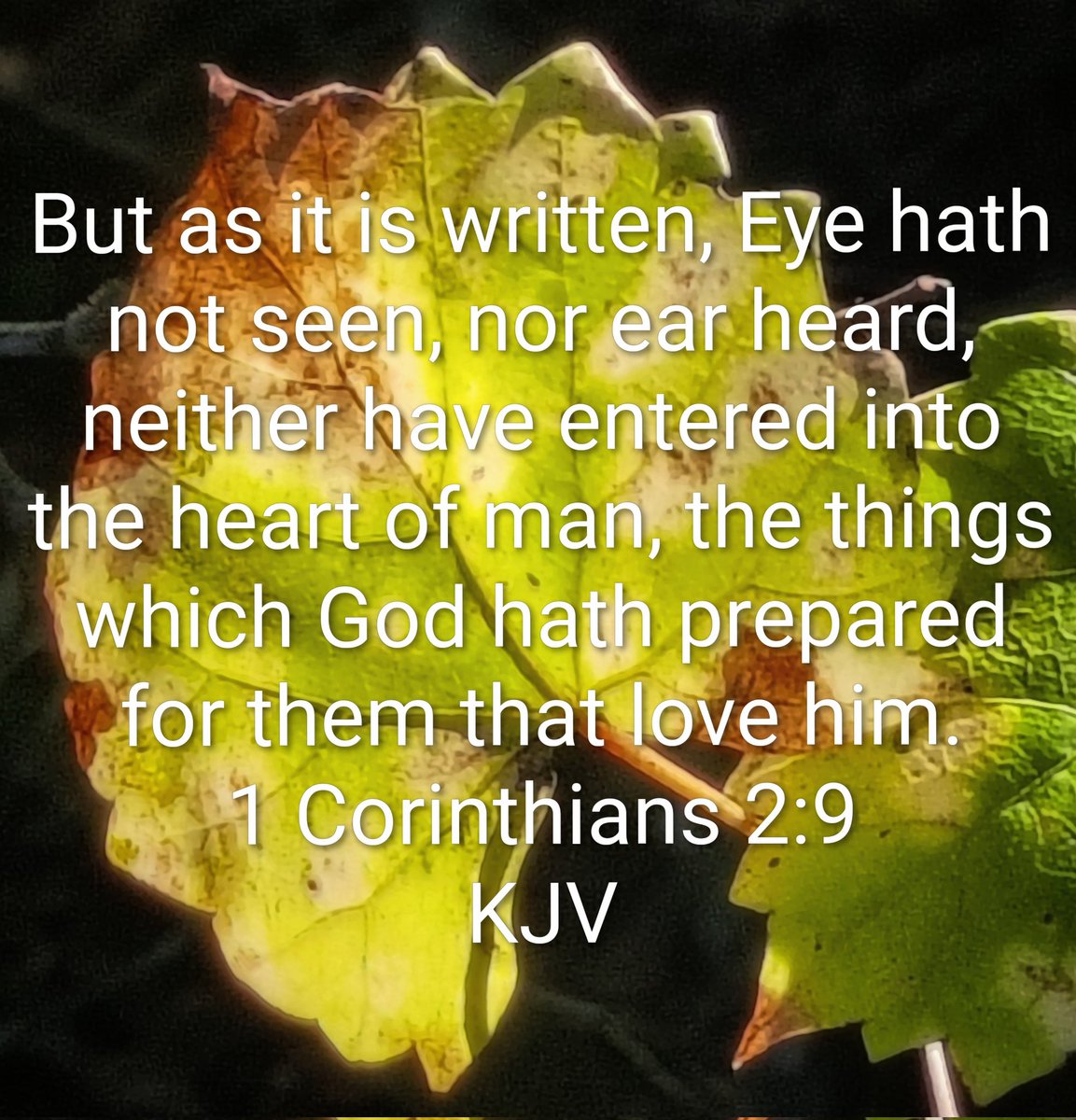 I hope you had a fantastic weekend &amp; have tomorrow off. If not, I hope you have restful sleep &amp; sweet dreams. 
Good night. 🌙 🌺