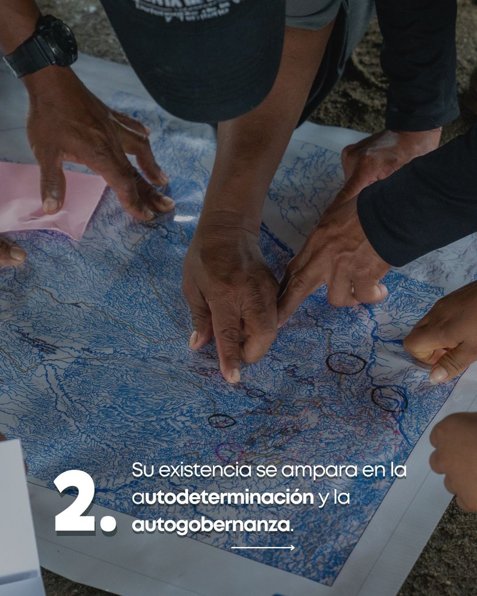 AlianzaCeibo's tweet image. Hoy, día de la #ResistenciaIndígena reivindicamos la labor de la #GuardiaIndígena y recordamos que los pueblos y nacionalidades indígenas sostienen desde sus territorios la defensa de la vida, la autonomía y derechos colectivos
👉Articulo completo aquí: alianzaceibo.org/blog/guardia-i…
👇