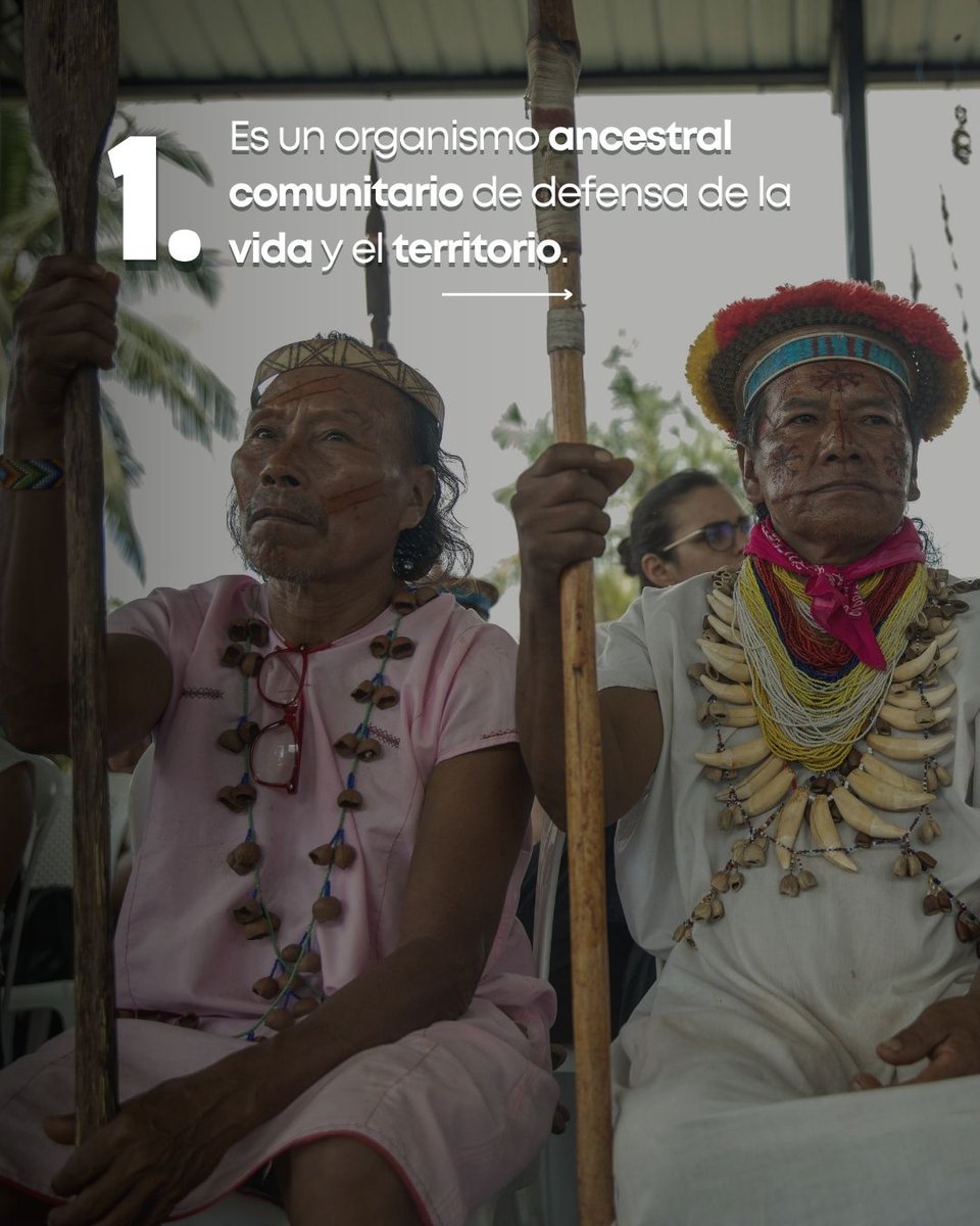 AlianzaCeibo's tweet image. Hoy, día de la #ResistenciaIndígena reivindicamos la labor de la #GuardiaIndígena y recordamos que los pueblos y nacionalidades indígenas sostienen desde sus territorios la defensa de la vida, la autonomía y derechos colectivos
👉Articulo completo aquí: alianzaceibo.org/blog/guardia-i…
👇