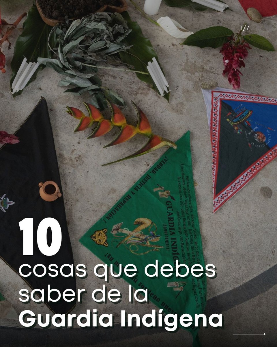AlianzaCeibo's tweet image. Hoy, día de la #ResistenciaIndígena reivindicamos la labor de la #GuardiaIndígena y recordamos que los pueblos y nacionalidades indígenas sostienen desde sus territorios la defensa de la vida, la autonomía y derechos colectivos
👉Articulo completo aquí: alianzaceibo.org/blog/guardia-i…
👇