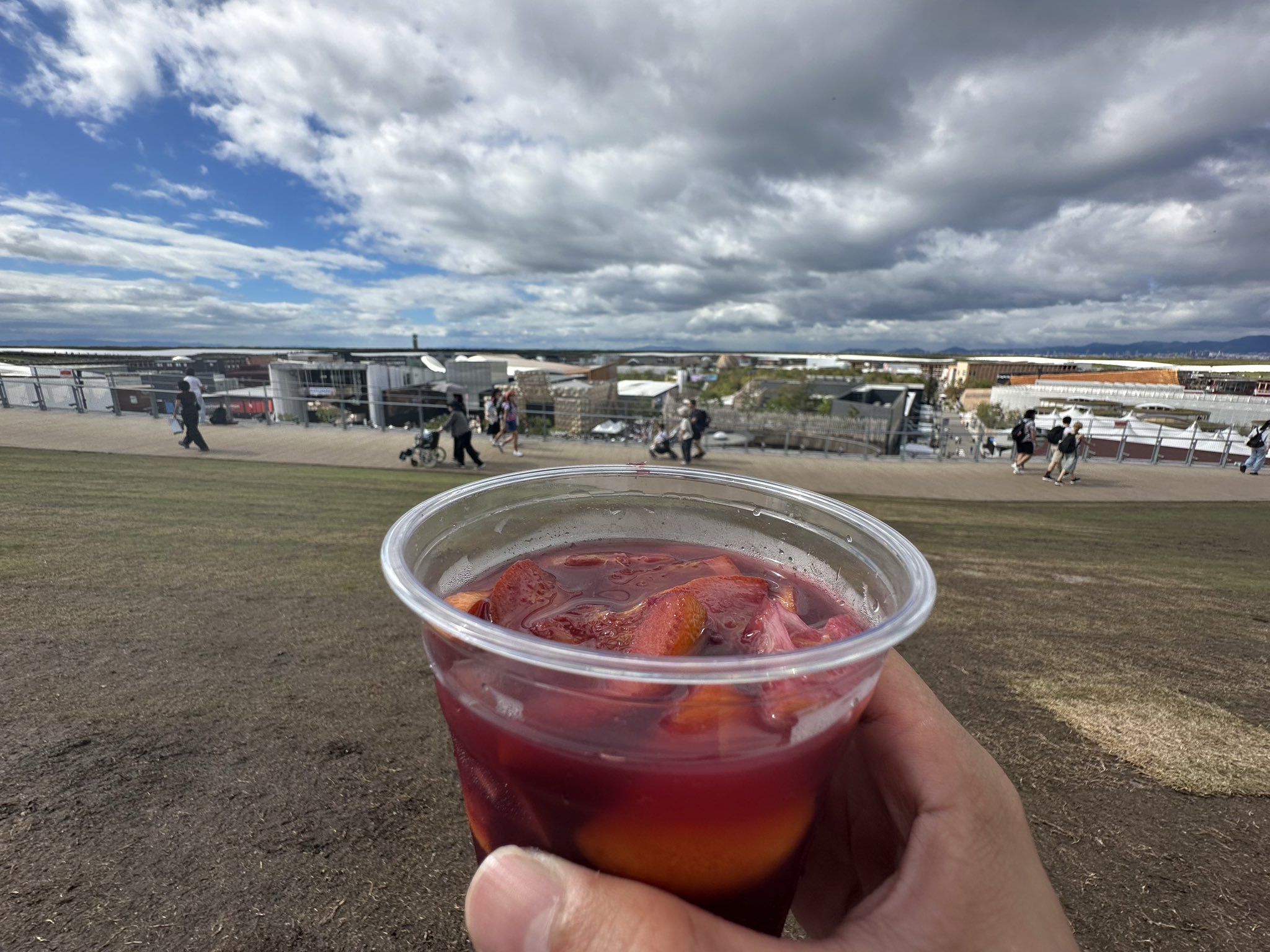 淳士旅行 2016年のぼり 淳士旅行のぼり