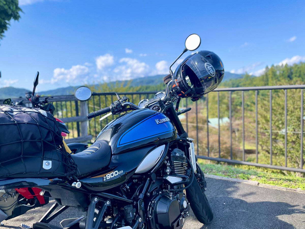 ねねこ ネックレス K10イエローゴールド ピンクシェル(猫/ネコ/ねこ