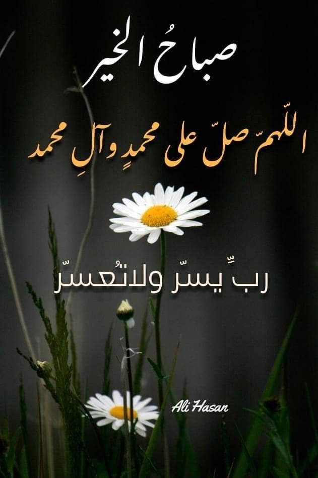 🦋🕊️❤️🇰🇼كويتاويه 🇰🇼 tweet media