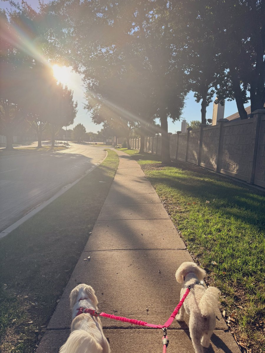 ashley_695's tweet photo. a great productive Sunday today 🧡🧡🧡 https://t.co/dtzZGcKPy3
