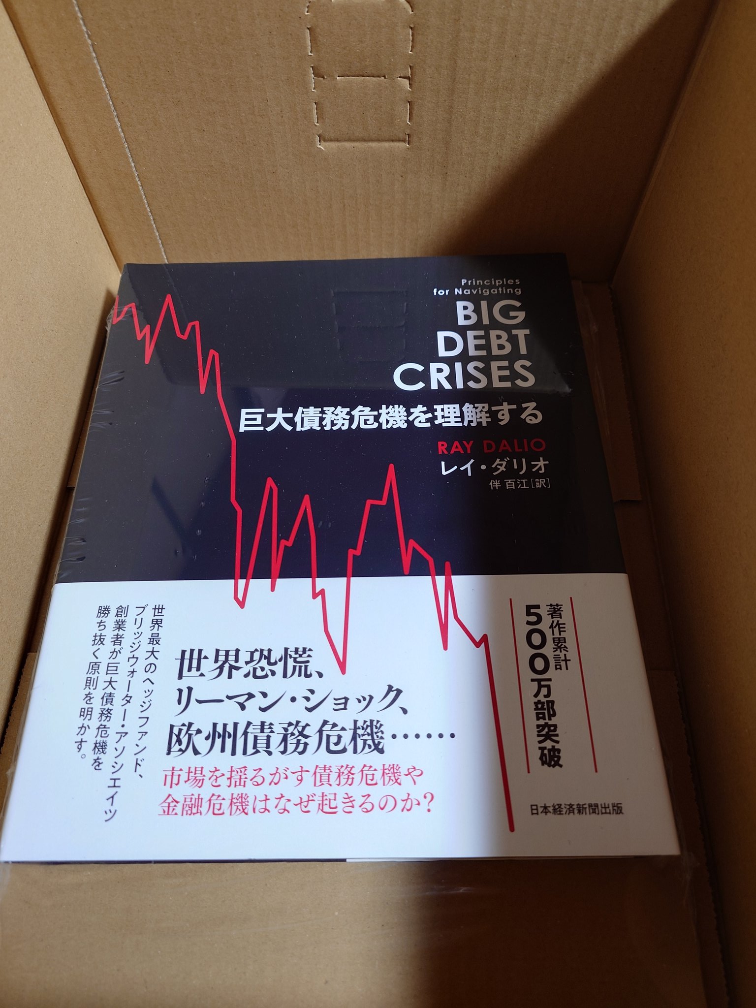 巨大債務危機を理解する 巨大債務危機を理解する BIG DEBT CRISIS にゃん