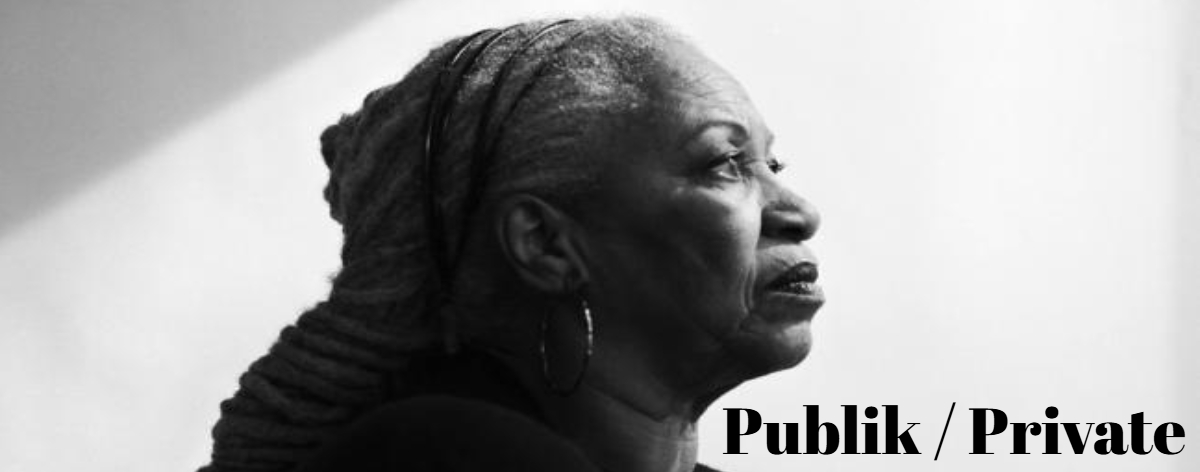 Publik / Private relaunch, November 1st + the digital release of Book Two of The Warmest Low Series: The Warmest Low: The Deep Blue Sea via Publik / Private Small Press &amp; Publishing House.