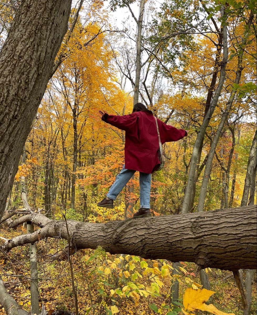 thatgirlnixx's tweet image. a vibrant autumn