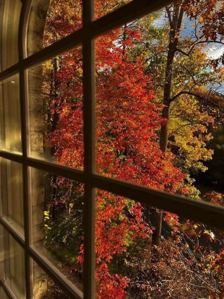 thatgirlnixx's tweet image. a vibrant autumn