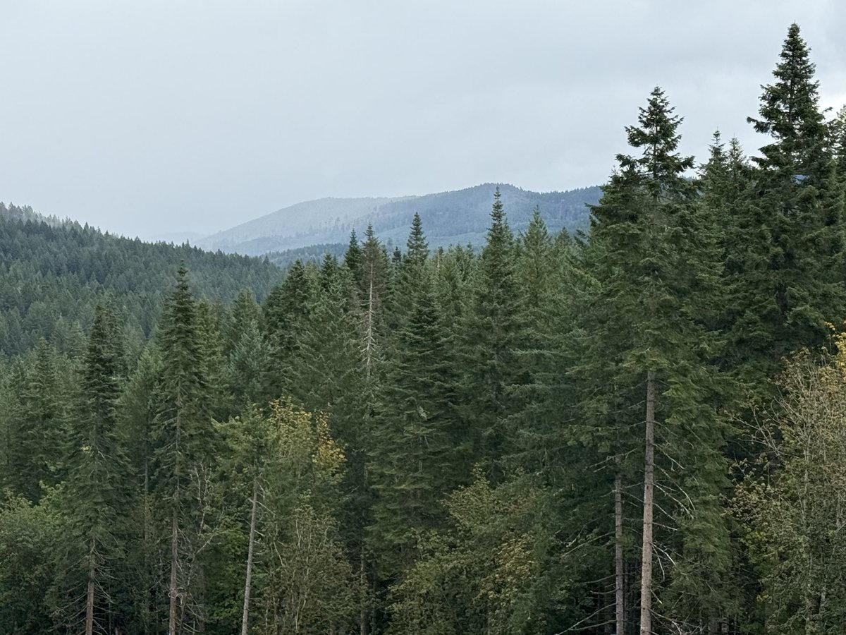 Cory Simon tweet media