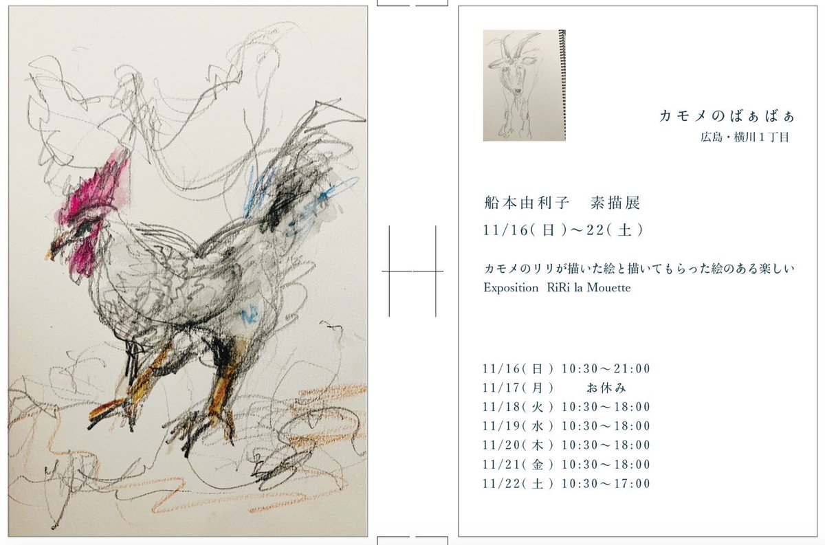 カモメのばぁばぁ (@kamomenobaabaa) / Posts / X