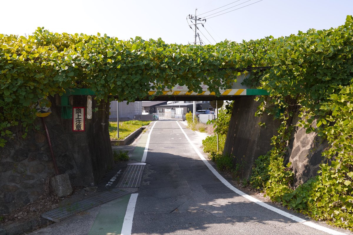 間山 Alps Walking] Japan's best ridge walk! Ridge walk over 3000m