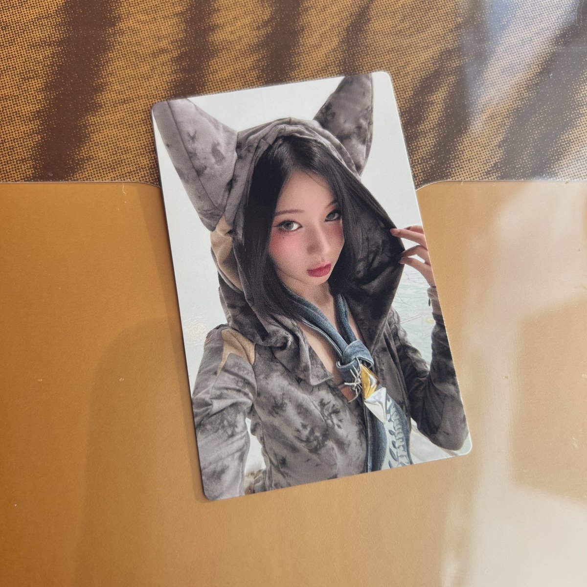 we go upタワレコ特典トレカ
アサ⇄ロラで交換してくれる人いますか(╥_╥)