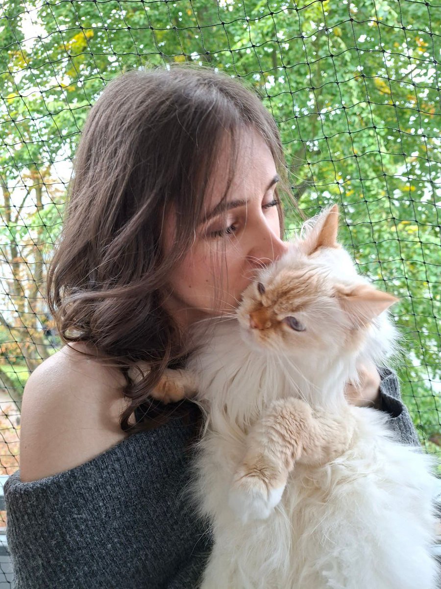 Neues Profilbild btw :3 Langsam gewöhne ich mich an mein neues Gesicht und woa, es ist so ein geiles Gefühl bei Profil oder 3/4 Ansicht meines Gesichts nicht mehr losheulen zu wollen 🥰❤️