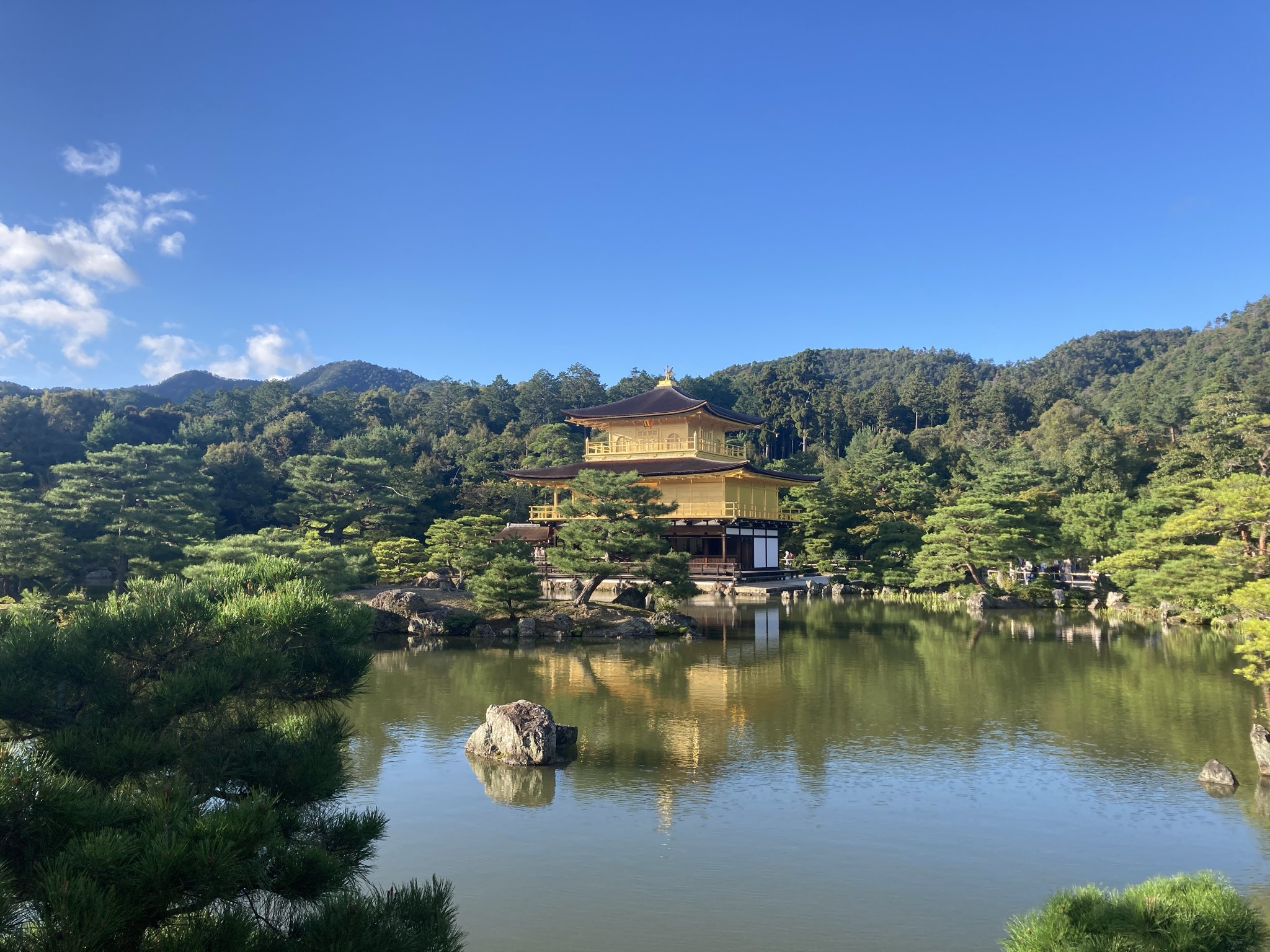 金閣寺 hq720.jpg?sqp=-